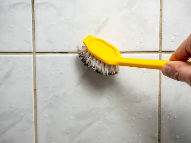  Crandon Lakes, NJ Mold Removal Pros