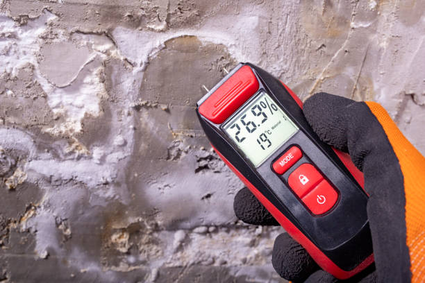 Best Mold Testing and Inspection Services in Crandon Lakes, NJ