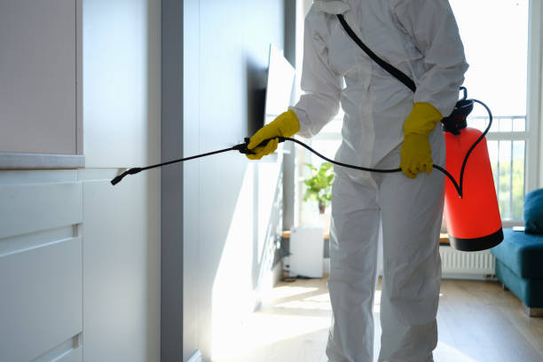 Best Post-Flood Mold Remediation in Crandon Lakes, NJ