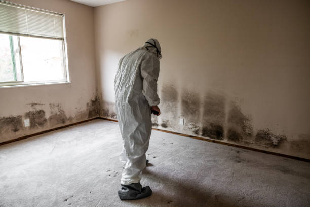 Trusted Crandon Lakes, NJ Mold Remediation Experts