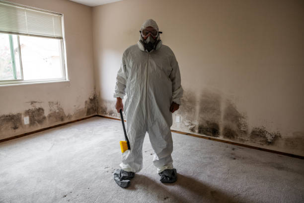 Best Commercial Mold Remediation in Crandon Lakes, NJ