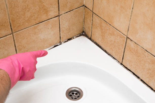 Best HVAC Mold Remediation in Crandon Lakes, NJ